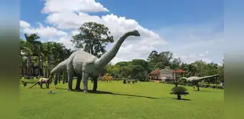 Un geoparque en Sudamérica alberga 10.000 fósiles de dinosaurios y entró a una prestigiosa lista de Unesco Un geoparque en Sudamérica alberga 10.000 fósiles de dinosaurios y entró a una prestigiosa lista de Unesco
