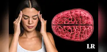 Por primera vez, científicos revelan cambios estructurales en el cerebro de las mujeres durante la menstruación
