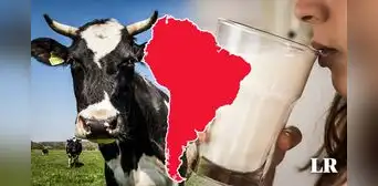 Descubre cuál es el país de Sudamérica que se ubica en el top 5 mundial en consumo de leche