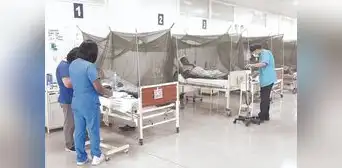 Dengue: cifra de muertos se eleva a 146 y casos a 155.000 a nivel nacional Dengue: cifra de muertos se eleva a 146 y casos a 155.000 a nivel nacional