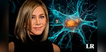 Neurona 'Jennifer Aniston': ¿por qué un científico argentino nombró así a una célula nerviosa? Neurona 'Jennifer Aniston': ¿por qué un científico argentino nombró así a una célula nerviosa?