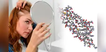 ¿Adiós a la alopecia? Científicos descubren sustancia que podría acabar con la caída de cabello ¿Adiós a la alopecia? Científicos descubren sustancia que podría acabar con la caída de cabello