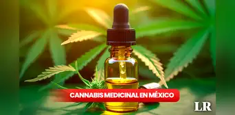 Cannabis medicinal en México: ¿qué proponen los candidatos y qué retos implicará para la salud pública? Cannabis medicinal en México: ¿qué proponen los candidatos y qué retos implicará para la salud pública?