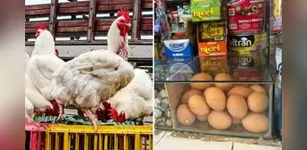 Precio del pollo baja, pero aumenta el costo del huevo: ¿cuánto está el kilo? Precio del pollo baja, pero aumenta el costo del huevo: ¿cuánto está el kilo?
