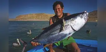Gobierno aprueba la creación de la Reserva Nacional Mar Tropical Grau Gobierno aprueba la creación de la Reserva Nacional Mar Tropical Grau