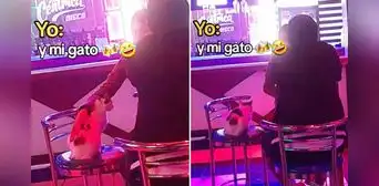 Peruana es viral tras llevar a su gatito a discoteca y dicen: “Tiene más vida social que yo”
