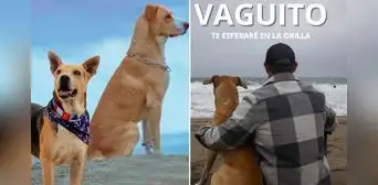 ¿De qué trataría 'Vaguito 2'?: director Alex Hidalgo adelanta vibrante trama de la continuación