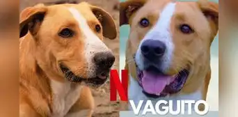 ¿'Vaguito' en Netflix? Importante plataforma de streaming quiere estrenar la película peruana