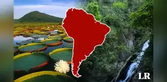 El país de Sudamérica con la segunda mayor cantidad de bosques: representan el 12% en el mundo El país de Sudamérica con la segunda mayor cantidad de bosques: representan el 12% en el mundo