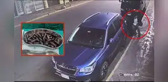 Tacna: hombre que llevaba 117 cápsulas de cocaína en el estómago casi muere al explotar una de estas Tacna: hombre que llevaba 117 cápsulas de cocaína en el estómago casi muere al explotar una de estas