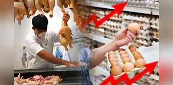 ¿Por qué el precio del pollo está bajando mientras que el del huevo sigue en subida? ¿Por qué el precio del pollo está bajando mientras que el del huevo sigue en subida?
