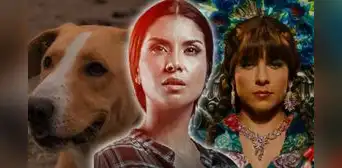 Stephany Orúe, estrella de ‘Vivo o muerto’, tras competir con ‘Vaguito’ y ‘Chabuca’: “Es reflejo del país” Stephany Orúe, estrella de ‘Vivo o muerto’, tras competir con ‘Vaguito’ y ‘Chabuca’: “Es reflejo del país”