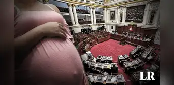 Congreso analiza adopción desde el vientre en casos de embarazos ‘no planeados’ ¿Proyecto de ley es viable? Congreso analiza adopción desde el vientre en casos de embarazos ‘no planeados’ ¿Proyecto de ley es viable?