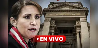 Patricia Benavides:  PJ evaluó requerimiento de impedimento de salida del país en su contra