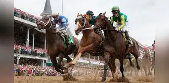 ¿Cuánto cuestan los caballos que correrán el Kentucky Derby 2024? Uno sobrepasa los US$2 millones ¿Cuánto cuestan los caballos que correrán el Kentucky Derby 2024? Uno sobrepasa los US$2 millones