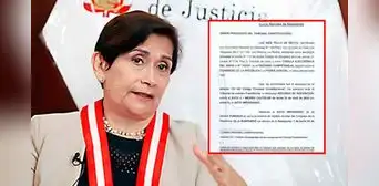 Inés Tello interpone recurso para anular resolución del TC y regresar a JNJ Inés Tello interpone recurso para anular resolución del TC y regresar a JNJ