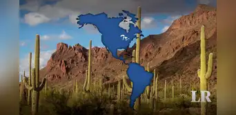 Conoce el desierto más grande de Norteamérica: es el hogar de 333 especies de aves