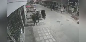 Delincuentes roban vivienda en manada en Los Olivos: se llevan equipos valorizados en más de S/15.000 Delincuentes roban vivienda en manada en Los Olivos: se llevan equipos valorizados en más de S/15.000