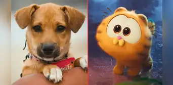 ¡'Vaguito' SUPERÓ a 'Garfield: fuera de casa'!: película peruana es la más vista a nivel nacional