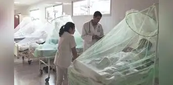 Minsa reporta 24 nuevos decesos a causa del dengue en solo una semana Minsa reporta 24 nuevos decesos a causa del dengue en solo una semana
