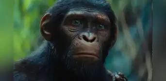 ¿Cómo se llama el hijo de César en ‘El planeta de los simios: nuevo reino’? ¿Cómo se llama el hijo de César en ‘El planeta de los simios: nuevo reino’?