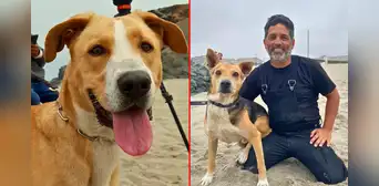 Alex Hidalgo, director de ‘Vaguito’, revela si se donará la taquilla de cinta a albergue de animales Alex Hidalgo, director de ‘Vaguito’, revela si se donará la taquilla de cinta a albergue de animales