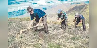 Fortalecen fondo de subvenciones para agricultores ante sequías Fortalecen fondo de subvenciones para agricultores ante sequías