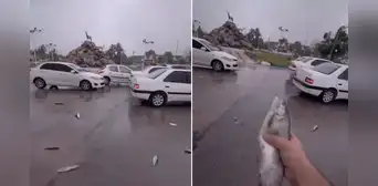 Así fue la increíble ‘lluvia’ de peces que cayó sobre Irán: ¿a qué se debe este inusual fenómeno? Así fue la increíble ‘lluvia’ de peces que cayó sobre Irán: ¿a qué se debe este inusual fenómeno?