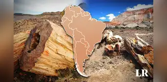 El bosque petrificado más grande del mundo está en Sudamérica: hay árboles desde hace 65 millones de años El bosque petrificado más grande del mundo está en Sudamérica: hay árboles desde hace 65 millones de años
