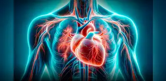 ¡Atención! Médicos reconocen nuevo órgano en el cuerpo humano: está cerca al corazón