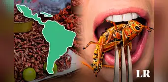Uno de los países que consume más insectos en el mundo está en Latinoamérica: comen gusanos, moscos y hormigas
