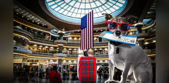 Conoce las nuevas restricciones para llevar un perro a Estados Unidos desde agosto de 2024