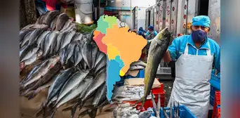 Este es el país que lidera el consumo de pescado en Latinoamérica: supera a Chile y Venezuela Este es el país que lidera el consumo de pescado en Latinoamérica: supera a Chile y Venezuela