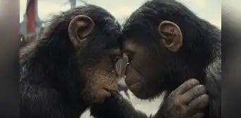 ¿‘El planeta de los simios: nuevo reino’ tiene escenas poscréditos? ¿‘El planeta de los simios: nuevo reino’ tiene escenas poscréditos?