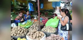 INEI: Se incrementa el número de hogares jefaturados por mujeres INEI: Se incrementa el número de hogares jefaturados por mujeres