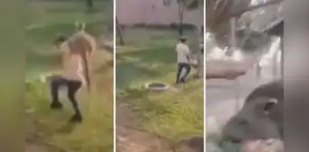 Maltratan animales en el Parque de las Leyendas: transmitieron 'reto' de TikTok en vivo Maltratan animales en el Parque de las Leyendas: transmitieron 'reto' de TikTok en vivo