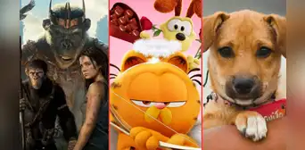 'El planeta de los simios' y 'Garfield: fuera de casa' SUPERAN a 'Vaguito', película nacional, en taquilla 'El planeta de los simios' y 'Garfield: fuera de casa' SUPERAN a 'Vaguito', película nacional, en taquilla