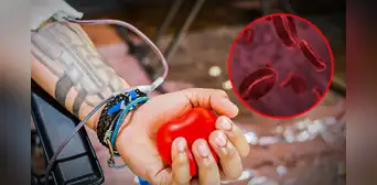 Científicos se encaminan a una posible forma de que la donación de sangre sea universal Científicos se encaminan a una posible forma de que la donación de sangre sea universal