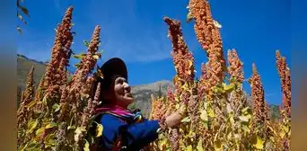 Perú anuncia el más grande plan de irrigación de su historia: 120.000 ha de andenes en la sierra Perú anuncia el más grande plan de irrigación de su historia: 120.000 ha de andenes en la sierra