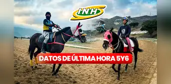 Traqueos y datos de última hora 5y6 La Rinconada, 19 de mayo: pronósticos de Gaceta Hípica y Grupo Cordialito Traqueos y datos de última hora 5y6 La Rinconada, 19 de mayo: pronósticos de Gaceta Hípica y Grupo Cordialito