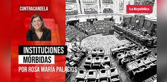 Instituciones mórbidas, Rosa María Palacios Instituciones mórbidas, Rosa María Palacios