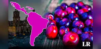 La fruta 'cereza de los indios', originaria de Norteamérica, es un tesoro nutricional que previene el párkinson y alzheimer La fruta 'cereza de los indios', originaria de Norteamérica, es un tesoro nutricional que previene el párkinson y alzheimer