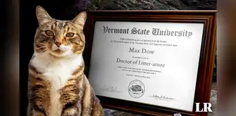 La única universidad de Estados Unidos que otorgó un título honorífico a un gato: "Doctor en Literatura" La única universidad de Estados Unidos que otorgó un título honorífico a un gato: "Doctor en Literatura"