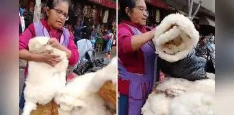 Peruana arrasa con ventas de piel de cordero en Lima y dicen: “Es eterno” Peruana arrasa con ventas de piel de cordero en Lima y dicen: “Es eterno”