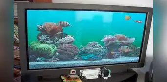 ¿Qué sucedió con los televisores plasma que fueron todo un boom y que ahora nadie recuerda? ¿Qué sucedió con los televisores plasma que fueron todo un boom y que ahora nadie recuerda?