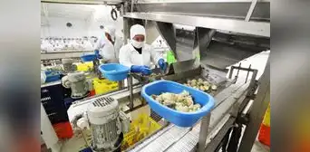 Exportaciones agropecuarias siguen a tope: aumentaron 10,8% en el primer trimestre