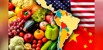 El país de América Latina que consume más frutas y verduras en todo el mundo: supera a China y Estados Unidos El país de América Latina que consume más frutas y verduras en todo el mundo: supera a China y Estados Unidos