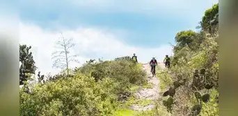 ¿Aficionado al ciclismo? Descubre los 3 destinos colombianos perfectos para explorar en bicicleta