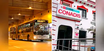 Metropolitano: Conadis denuncia a medio de transporte por discriminación a personas con discapacidad Metropolitano: Conadis denuncia a medio de transporte por discriminación a personas con discapacidad