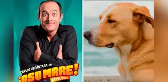 No es ‘Asu mare 1’ ni ‘Vaguito’: está es la película peruana más taquillera de toda la historia No es ‘Asu mare 1’ ni ‘Vaguito’: está es la película peruana más taquillera de toda la historia